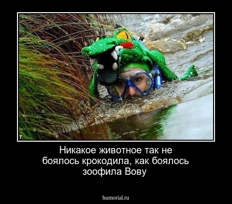 Никакое животное так не боялось крокодила, как боялось зоофила Вову