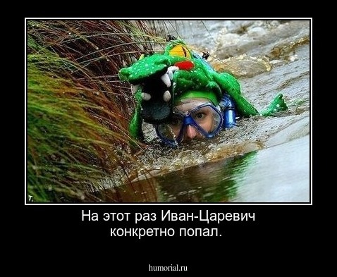 На этот раз Иван-Царевич конкретно попал.