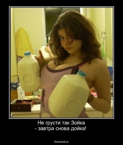 Не грусти так Зойка - завтра снова дойка!