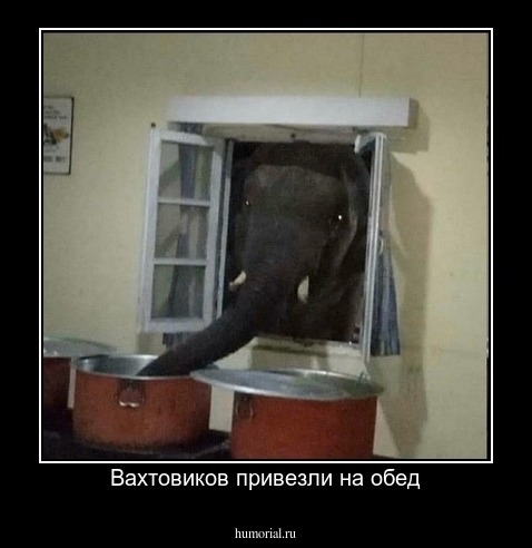 Вахтовиков привезли на обед