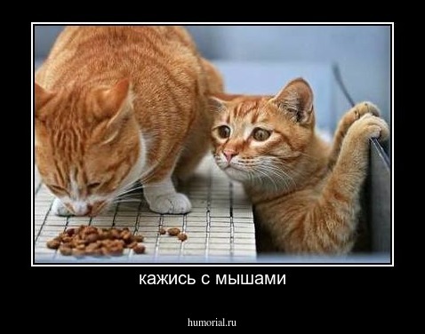 кажись с мышами