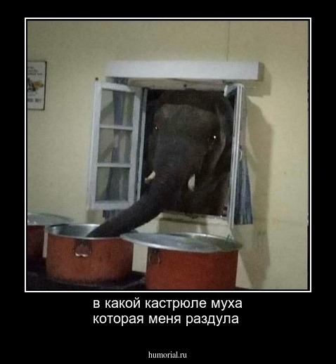в какой кастрюле муха которая меня раздула 