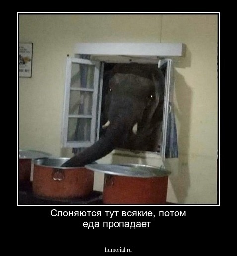 Слоняются тут всякие, потом еда пропадает