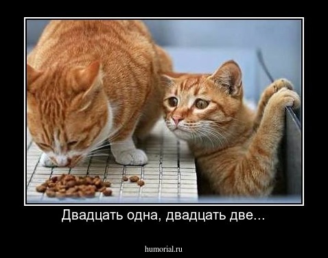 Двадцать одна, двадцать две...