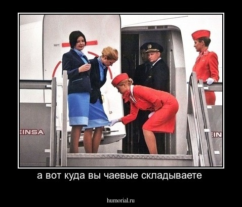 а вот куда вы чаевые складываете 