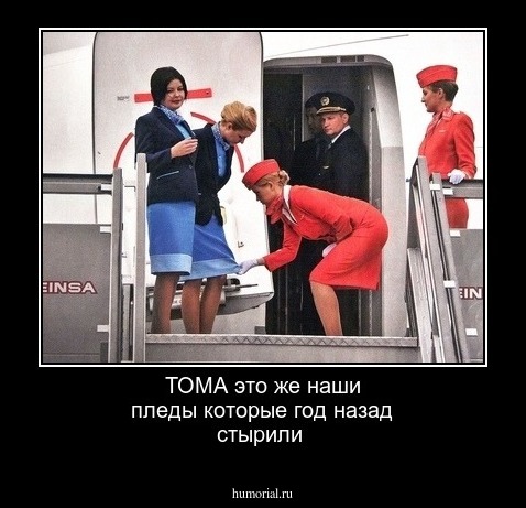 ТОМА это же наши пледы которые год назад стырили 