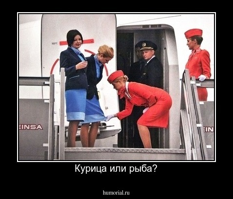 Курица или рыба?