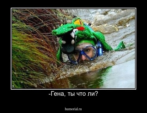 -Гена, ты что ли?