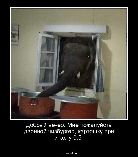 Добрый вечер. Мне пожалуйста двойной чизбургер, картошку ври и колу 0,5
