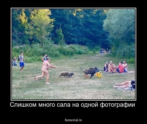 Слишком много сала на одной фотографии 