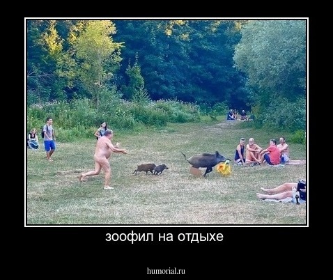 зоофил на отдыхе 
