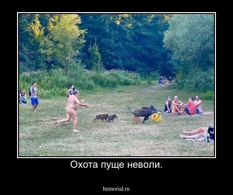 Охота пуще неволи.