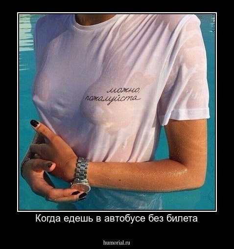Когда едешь в автобусе без билета