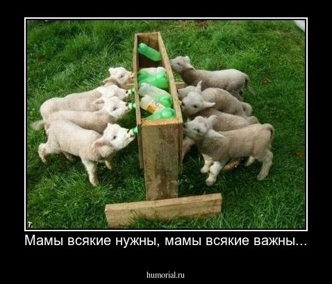Мамы всякие нужны, мамы всякие важны...