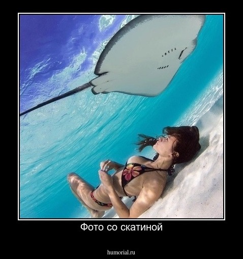 Фото со скатиной