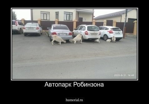 Автопарк Робинзона