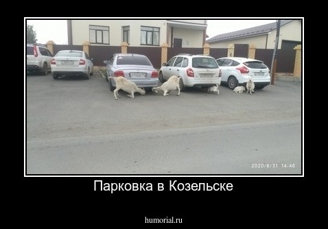 Парковка в Козельске