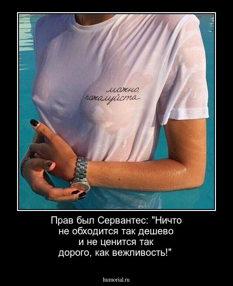 Прав был Сервантес: "Ничто не обходится так дешево и не ценится так дорого, как вежливость!"