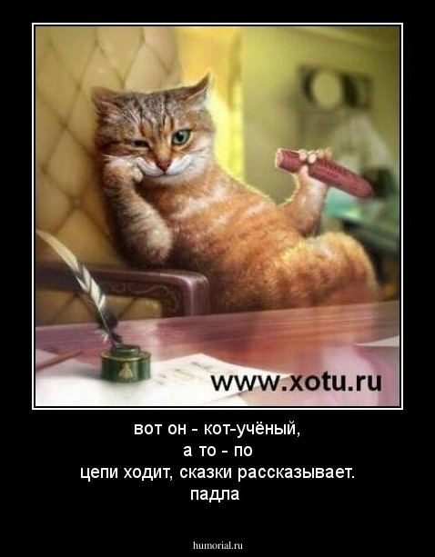 вот он - кот-учёный, а то - по цепи ходит, сказки рассказывает. падла