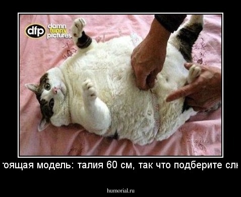 Настоящая модель: талия 60 см, так что подберите слюни! 