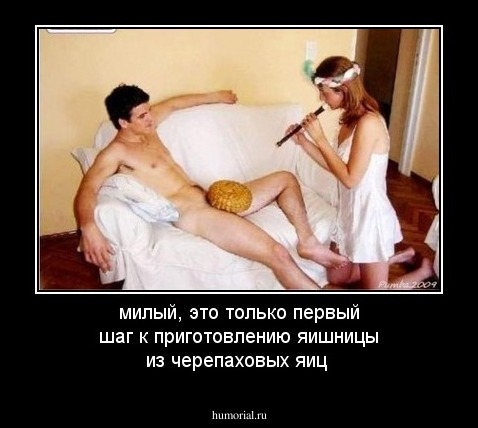 милый, это только первый шаг к приготовлению яишницы из черепаховых яиц