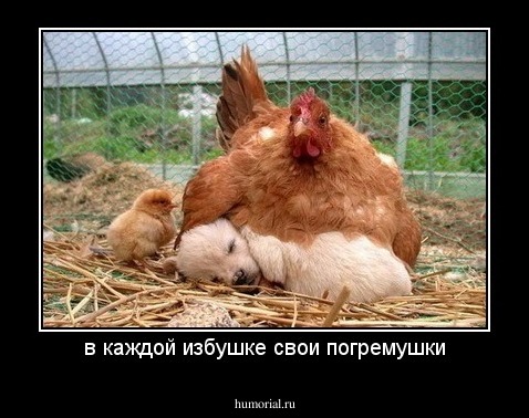 в каждой избушке свои погремушки