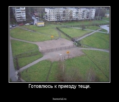 Готовлюсь к приезду тещи.