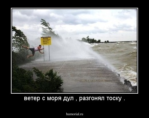 ветер с моря дул , разгонял тоску .