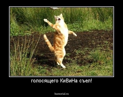 голосящего КиВиНа съел!