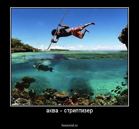 аква - стриптизер