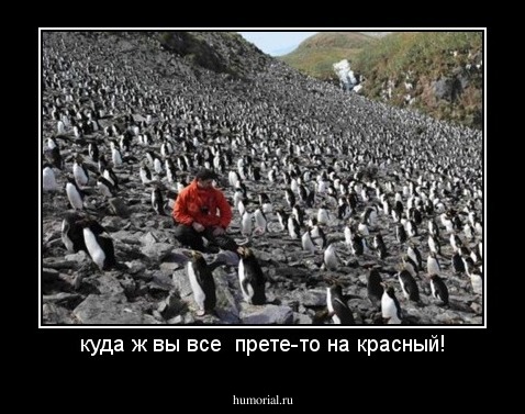 куда ж вы все  прете-то на красный!