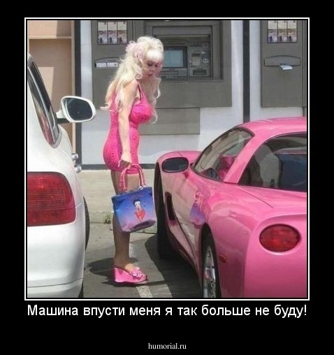 Машина впусти меня я так больше не буду!