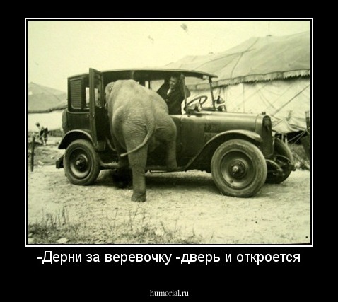 -Дерни за веревочку -дверь и откроется