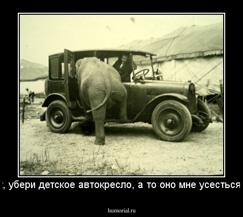 Извозчик, убери детское автокресло, а то оно мне усесться мешает!