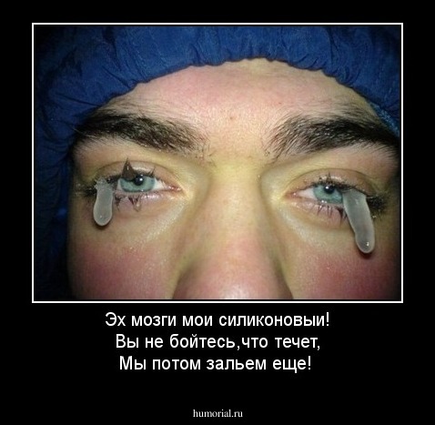 Эх мозги мои силиконовыи!                                    Вы не бойтесь,что течет,                                       Мы потом зальем еще!
