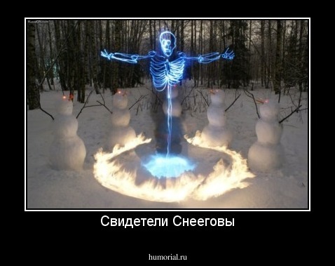 Свидетели Снееговы
