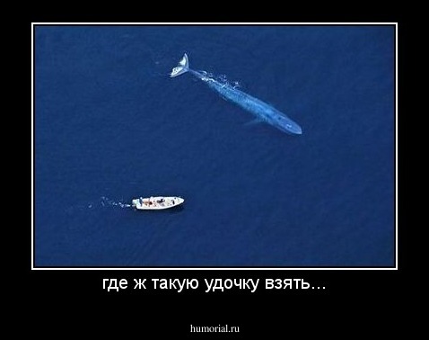 где ж такую удочку взять...