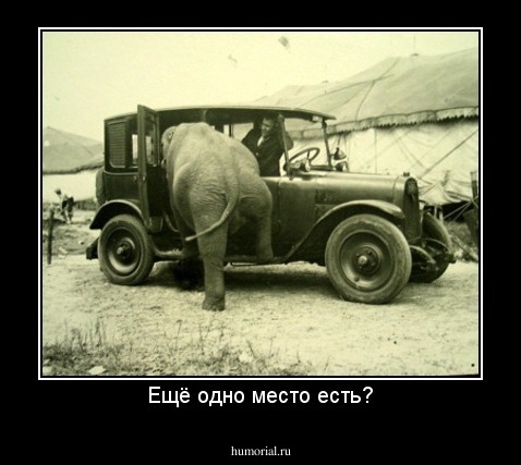 Ещё одно место есть?