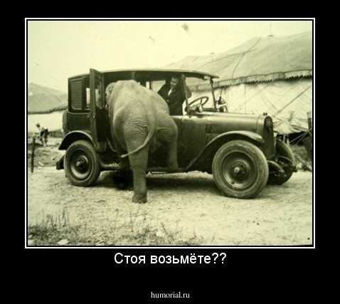Стоя возьмёте??