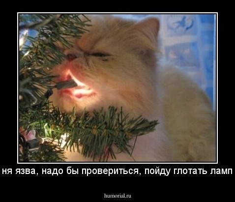 у меня язва, надо бы провериться, пойду глотать лампочку
