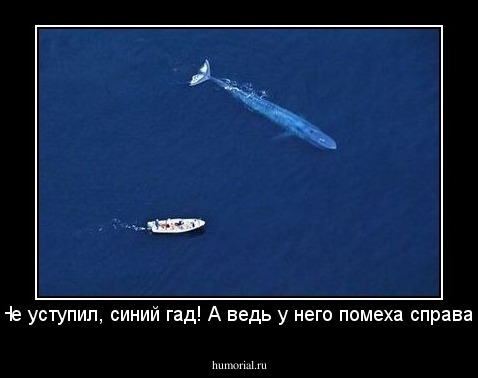 Не уступил, синий гад! А ведь у него помеха справа!