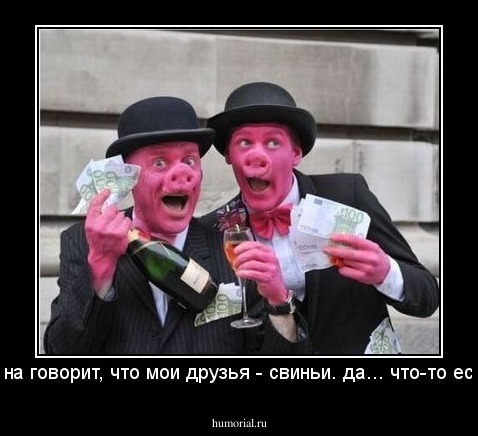 жена говорит, что мои друзья - свиньи. да... что-то есть.