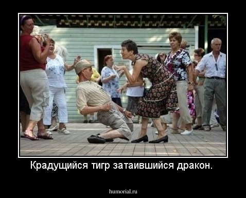 Крадущийся тигр затаившийся дракон. 
