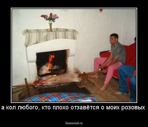 Посажу на кол любого, кто плохо отзавётся о моих розовых терниках!