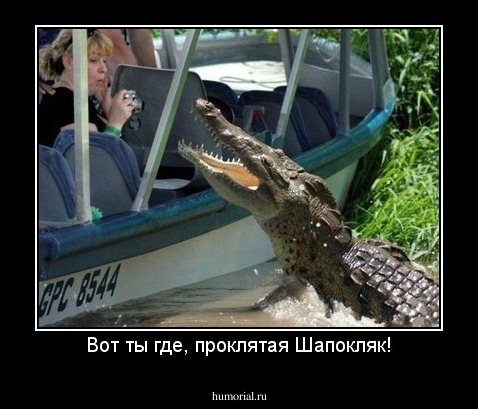 Вот ты где, проклятая Шапокляк!