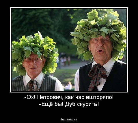 -Ох! Петрович, как нас вшторило!
-Ещё бы! Дуб скурить!