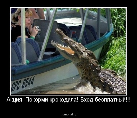 Акция! Покорми крокодила! Вход бесплатный!!!