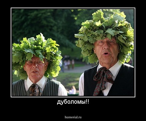 дуболомы!!