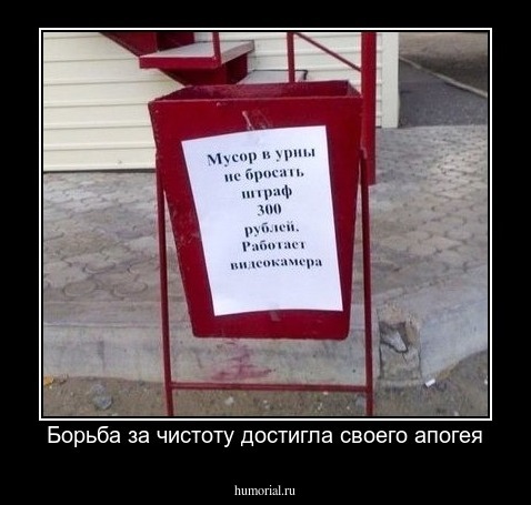 Борьба за чистоту достигла своего апогея