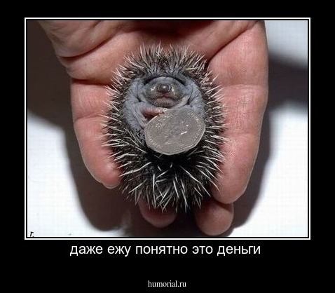 даже ежу понятно это деньги 